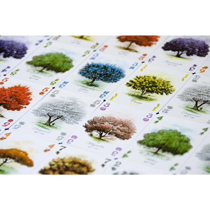 Arboretum