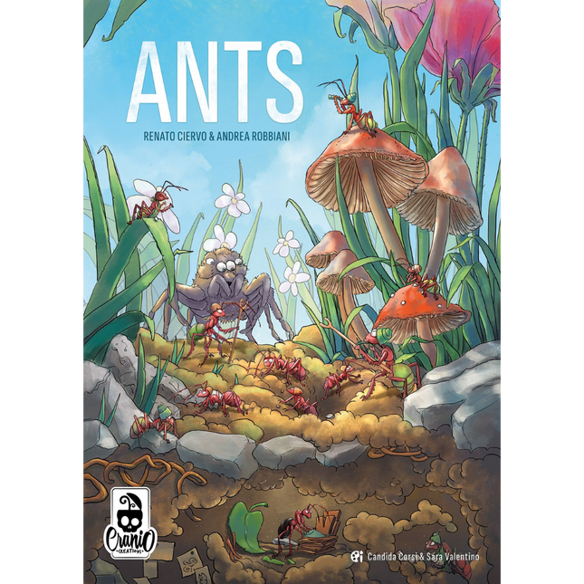 Ants - House of Games -1 