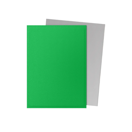 Dragon Shield: Standard Sleeves [Matte Dual] (100 Sleeves) - Apple Green & Silver