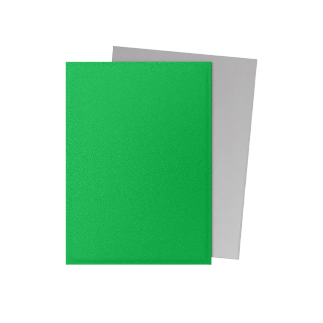 Dragon Shield: Standard Sleeves [Matte Dual] (100 Sleeves) - Apple Green & Silver product photo 2