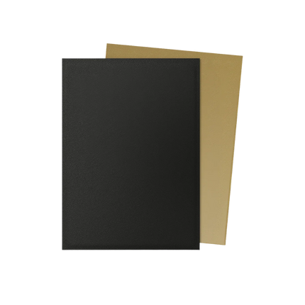 Dragon Shield: Standard Sleeves [Matte Dual] (100 Sleeves) - Black & Gold